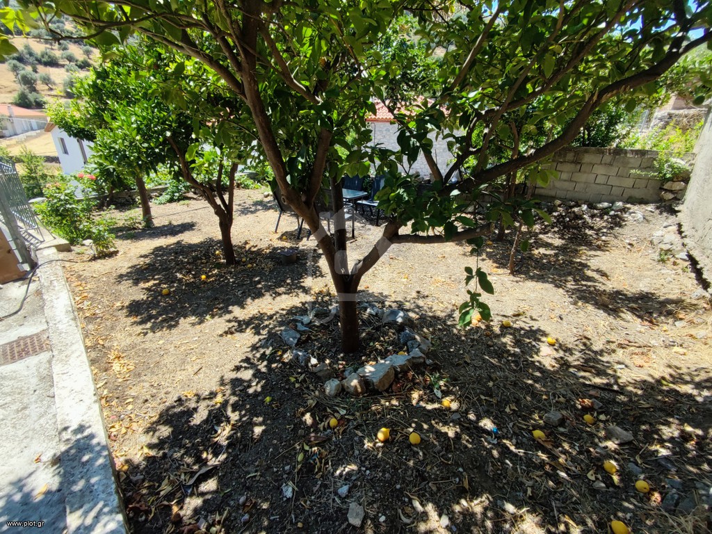 Μονοκατοικία 130 τ.μ. προς πώληση, Παρθένι Ταμυνών