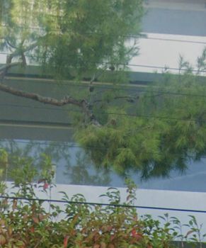 Μονοκατοικία 250τ.μ. για πώληση-Άγιος στέφανος » Κέντρο
