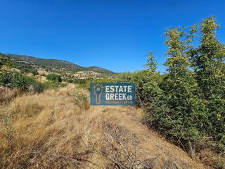 Οικόπεδο 280 τ.μ. πρός πώληση, Ν. Καβάλας, Φίλιπποι-thumb-13