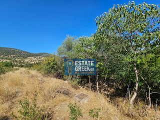 Οικόπεδο 280 τ.μ. πρός πώληση, Ν. Καβάλας, Φίλιπποι-thumb-17