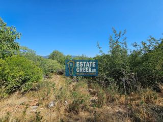 Οικόπεδο 280 τ.μ. πρός πώληση, Ν. Καβάλας, Φίλιπποι-thumb-8