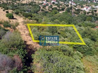 Οικόπεδο 280 τ.μ. πρός πώληση, Ν. Καβάλας, Φίλιπποι-thumb-18