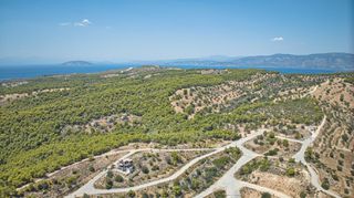 Οικόπεδο 400 τ.μ. για πώληση, Αργολίδα, Κρανίδι-thumb-15