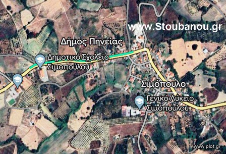Οικόπεδο 9.830 τ.μ. για πώληση, Ν. Ηλείας, Πηνεία
