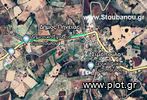 Land plot 9.830sqm for sale-Pineia » Simopoulo