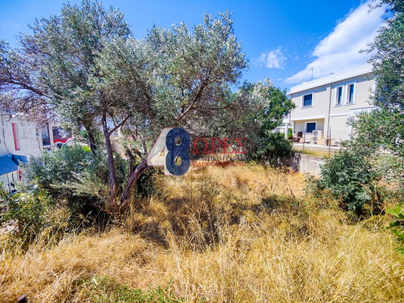 Οικόπεδο 363 τ.μ. προς πώληση, Άγιος Μηνάς Χίου