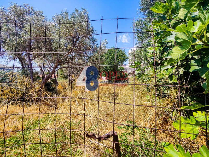 Οικόπεδο 363 τ.μ. προς πώληση, Άγιος Μηνάς Χίου