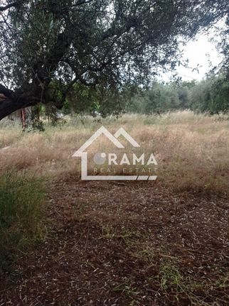 Land plot 1.273 sqm for sale, Achaia, Fares