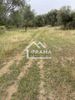 Parcel 8.000sqm for sale-Fares » Vasiliko