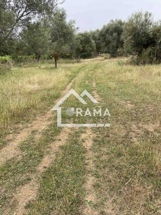 Parcel 8.000 sqm for sale, Achaia, Fares