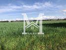 Land plot 8.100sqm for sale-Epanomi » Center
