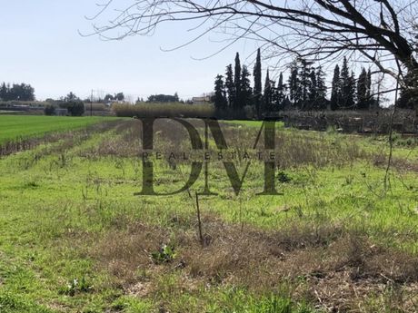 Οικόπεδο 5.000 τ.μ. πρός πώληση