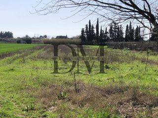 Οικόπεδο 5.000 τ.μ. για πώληση