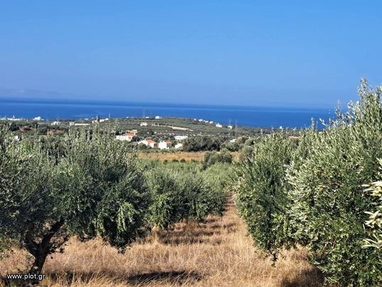 Οικόπεδο 5.350 τ.μ. για πώληση, Ν. Ρεθύμνου, Αρκάδι