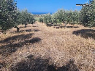 Land plot 5.350 sqm for sale, Rethymno Prefecture, Arkadi-thumb-1