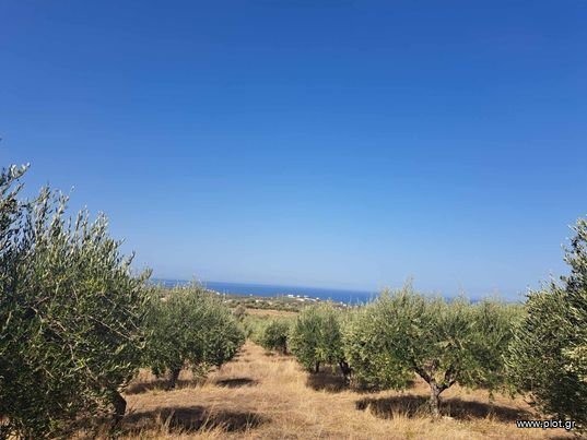 Οικόπεδο 5.350 τ.μ. πρός πώληση, Ν. Ρεθύμνου, Αρκάδι