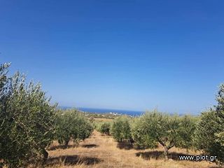 Land plot 5.350 sqm for sale, Rethymno Prefecture, Arkadi-thumb-3