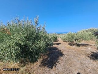 Land plot 5.350 sqm for sale, Rethymno Prefecture, Arkadi-thumb-4