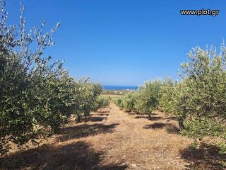 Land plot 5.350 sqm for sale, Rethymno Prefecture, Arkadi-thumb-5