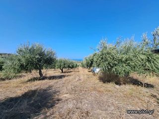 Land plot 5.350 sqm for sale, Rethymno Prefecture, Arkadi-thumb-6
