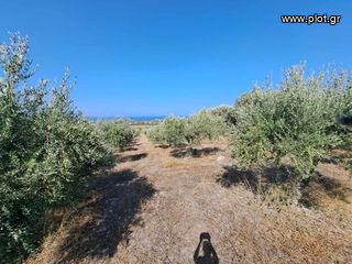 Land plot 5.350 sqm for sale, Rethymno Prefecture, Arkadi-thumb-7