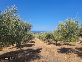 Land plot 5.350 sqm for sale, Rethymno Prefecture, Arkadi-thumb-8