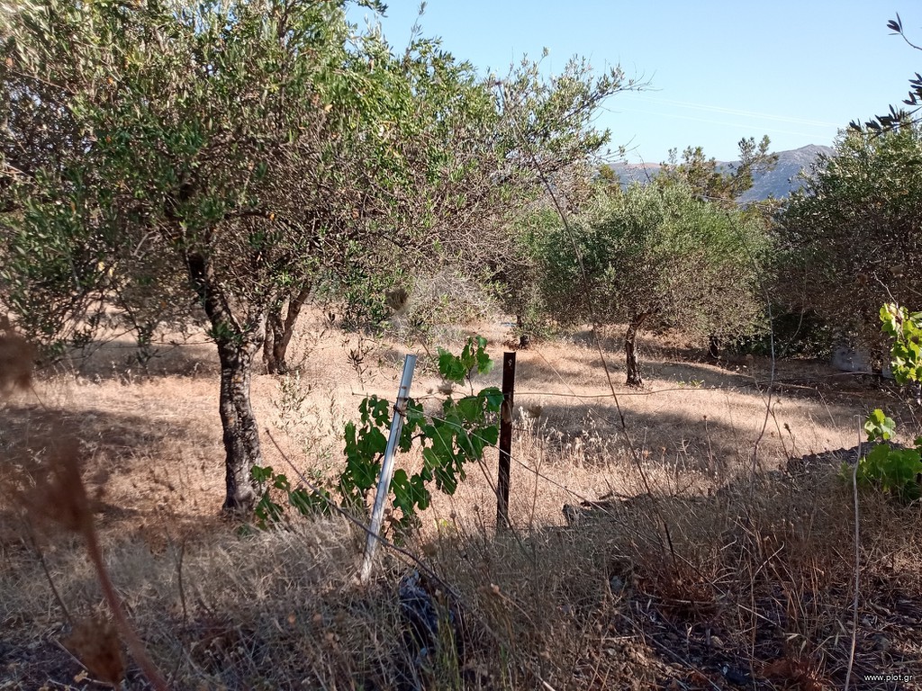 Οικόπεδο 950 τ.μ. πρός πώληση, Ν. Ρεθύμνου, Λάμπη