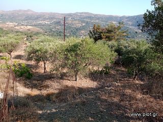 Οικόπεδο 950 τ.μ. προς πώληση, Μουρνέ-thumb-6