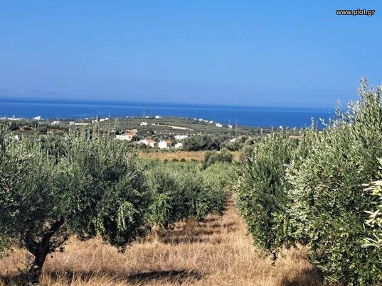 Αγροτεμάχια 4.017 τ.μ. για πώληση, Ν. Ρεθύμνου, Αρκάδι