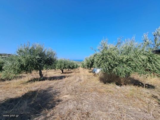 Αγροτεμάχια 5.343 τ.μ. για πώληση, Ν. Ρεθύμνου, Αρκάδι