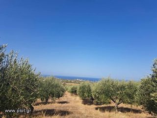 Αγροτεμάχια 5.343 τ.μ. για πώληση, Ν. Ρεθύμνου, Αρκάδι-thumb-2