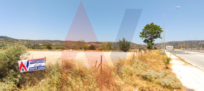 Αγροτεμάχια 6.400 τ.μ. πρός πώληση, Μαγνησία, Νέα Ιωνία Βόλου