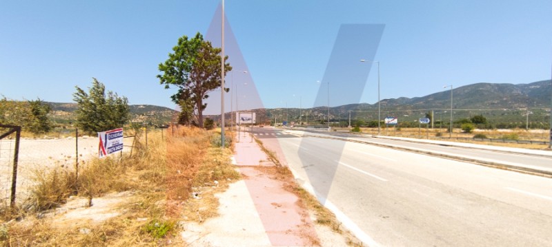 Αγροτεμάχια 6.400 τ.μ. πρός πώληση, Μαγνησία, Νέα Ιωνία Βόλου