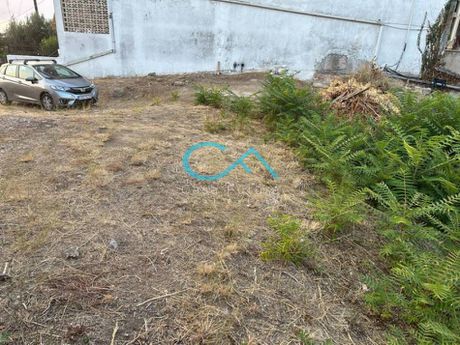 Οικόπεδο 600τ.μ. για πώληση-Βραχναίικα » Μονοδένδρι