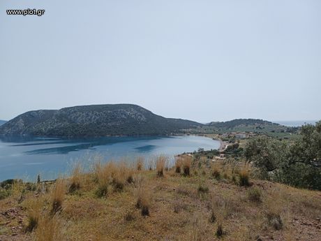 Parcel 5.500sqm for sale-Ermioni » Kouverta