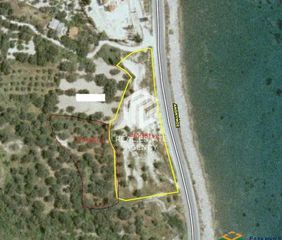 Αγροτεμάχια 6.404 τ.μ. για πώληση