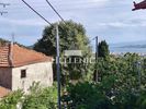 Μονοκατοικία 106τ.μ. για πώληση-Ιωλκός » Άγιος ονούφριος