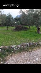 Αγροτεμάχια 4.032 τ.μ. για πώληση, Αχαΐα, Ρίο-thumb-1