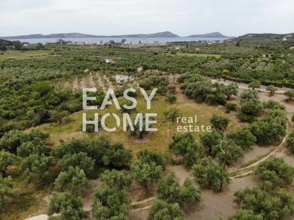 Parcel 4.168 sqm for sale, Messinia, Pilos