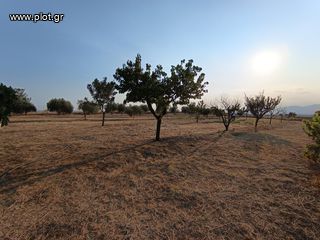Οικόπεδο 5.100 τ.μ. για πώληση, Ν. Ροδόπης, Κομοτηνή-thumb-3