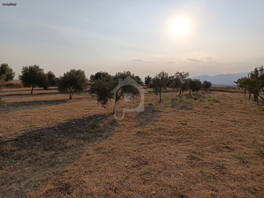 Οικόπεδο 5.100 τ.μ. προς πώληση, Ν. Ροδόπης, Κομοτηνή