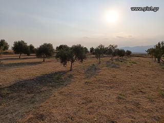 Οικόπεδο 5.100 τ.μ. για πώληση, Ν. Ροδόπης, Κομοτηνή-thumb-4