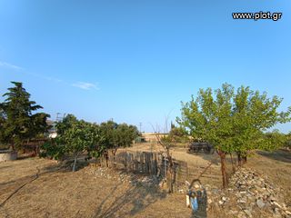 Οικόπεδο 5.100 τ.μ. για πώληση, Ν. Ροδόπης, Κομοτηνή-thumb-6