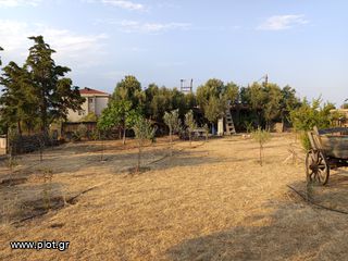 Οικόπεδο 5.100 τ.μ. για πώληση, Ν. Ροδόπης, Κομοτηνή-thumb-8