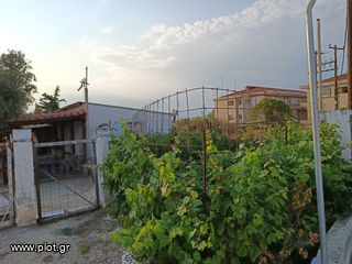 Οικόπεδο 5.100 τ.μ. για πώληση, Ν. Ροδόπης, Κομοτηνή-thumb-11