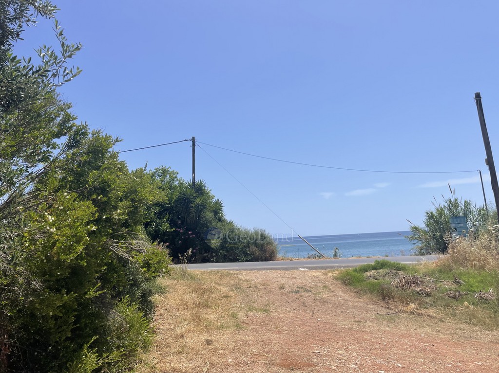 Αγροτεμάχια 6.800 τ.μ. προς πώληση, Χελωναριά