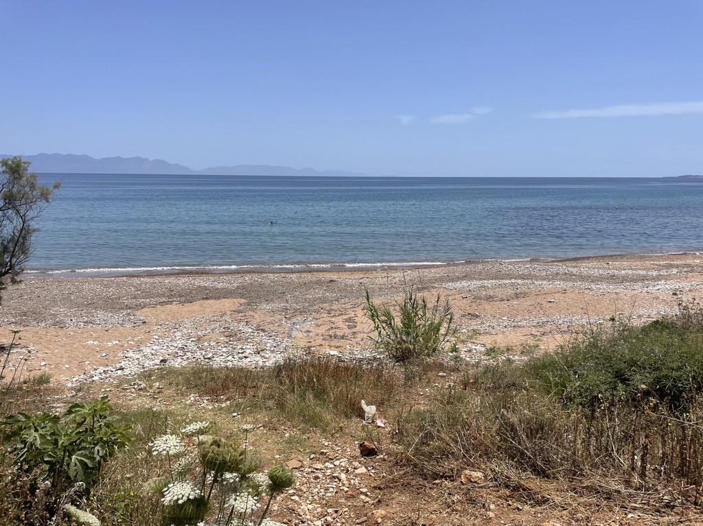 Αγροτεμάχια 6.800 τ.μ. προς πώληση, Χελωναριά