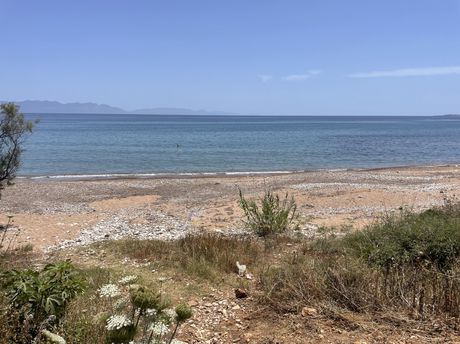 Αγροτεμάχια 6.800 τ.μ. για πώληση