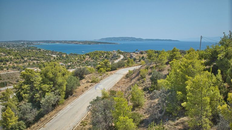 Οικόπεδο 400 τ.μ. για πώληση, Αργολίδα, Κρανίδι