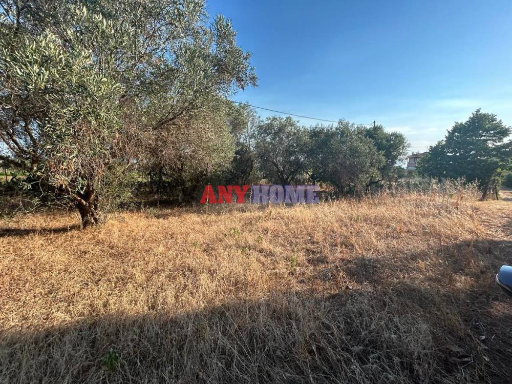 Οικόπεδο 1.291 τ.μ. προς πώληση, Αγγελοχώρι Μηχανιώνας